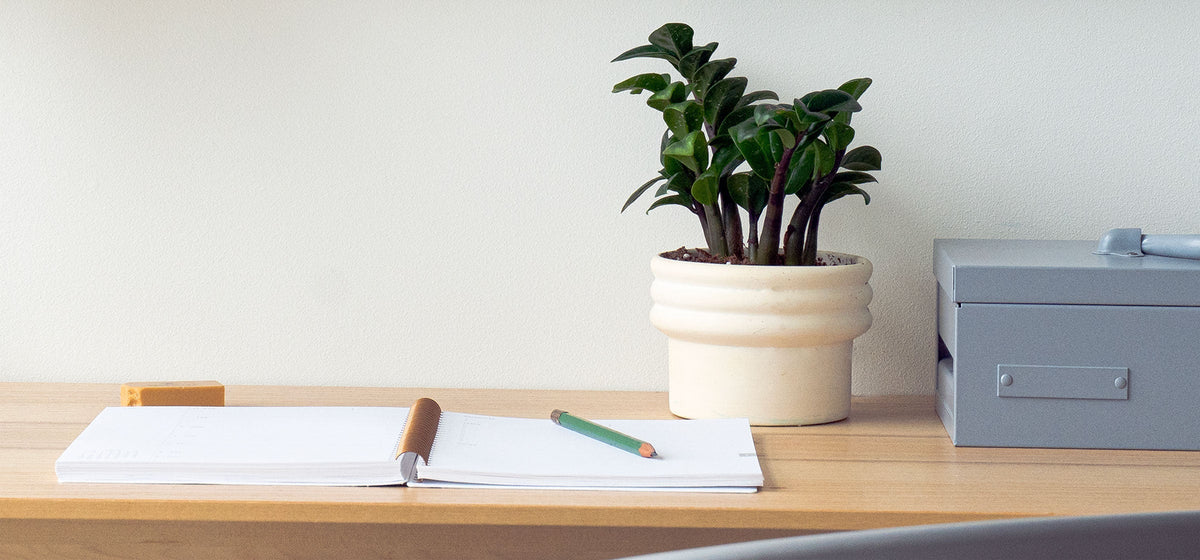 Slow Productivity: Finding More Focus Through Analog Living