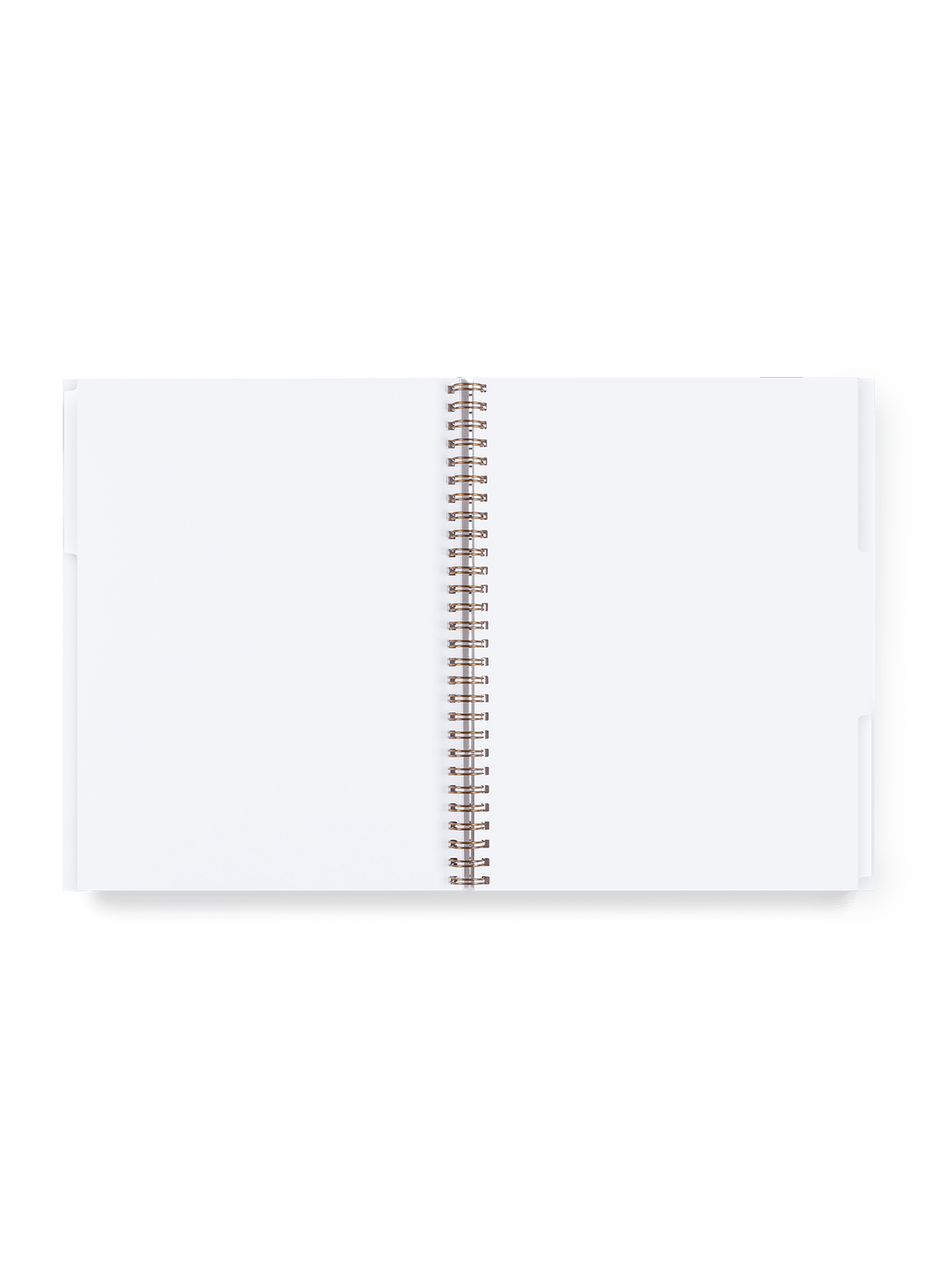 3 Subject Notebook Tabs